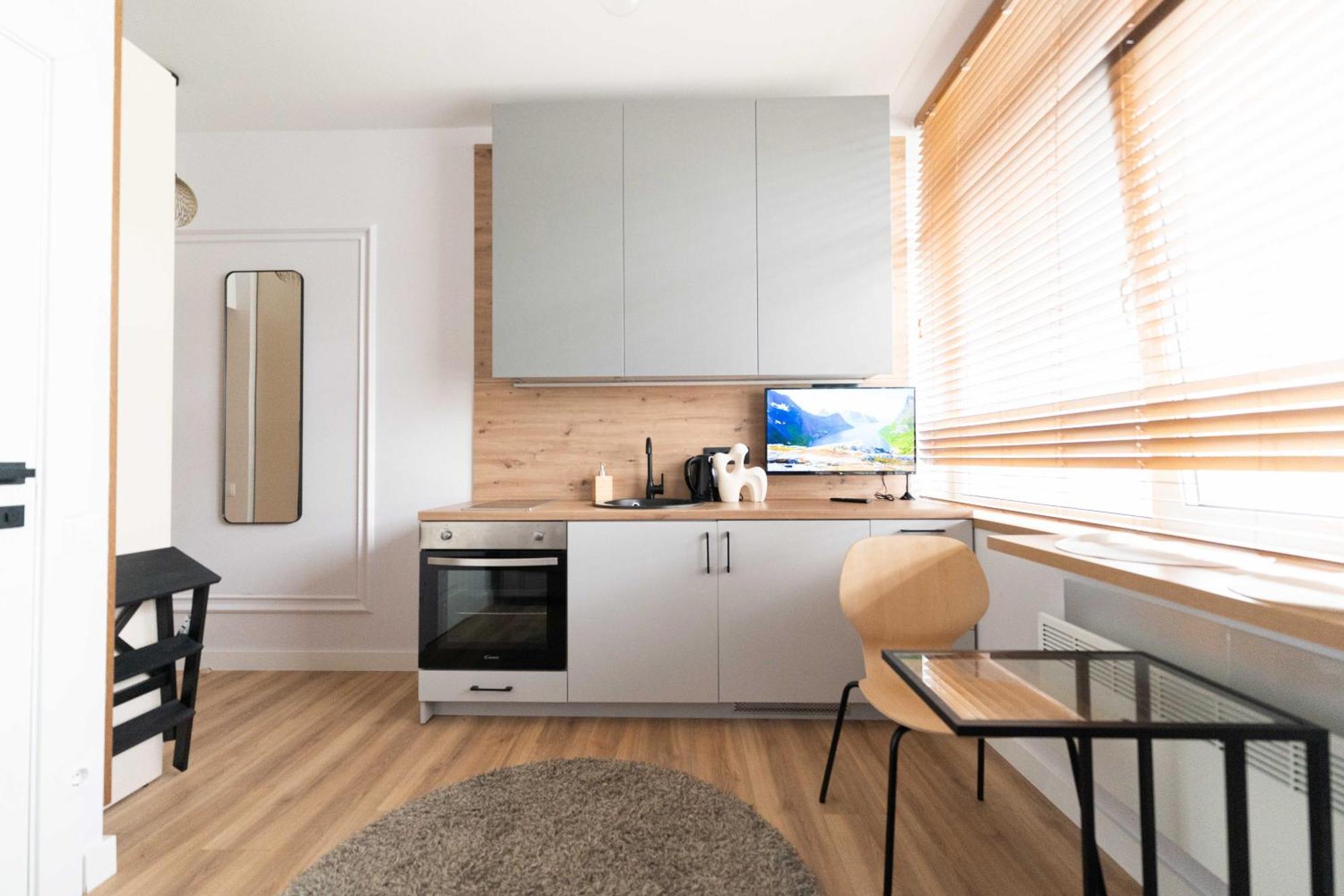 Cozy And Light Studio Apartment Near City Center Vilnius Buitenkant foto